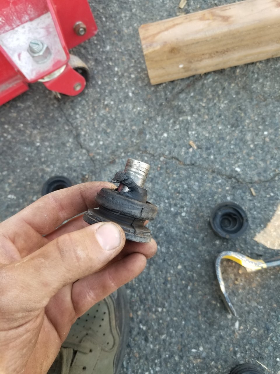 20190722_101257.jpg