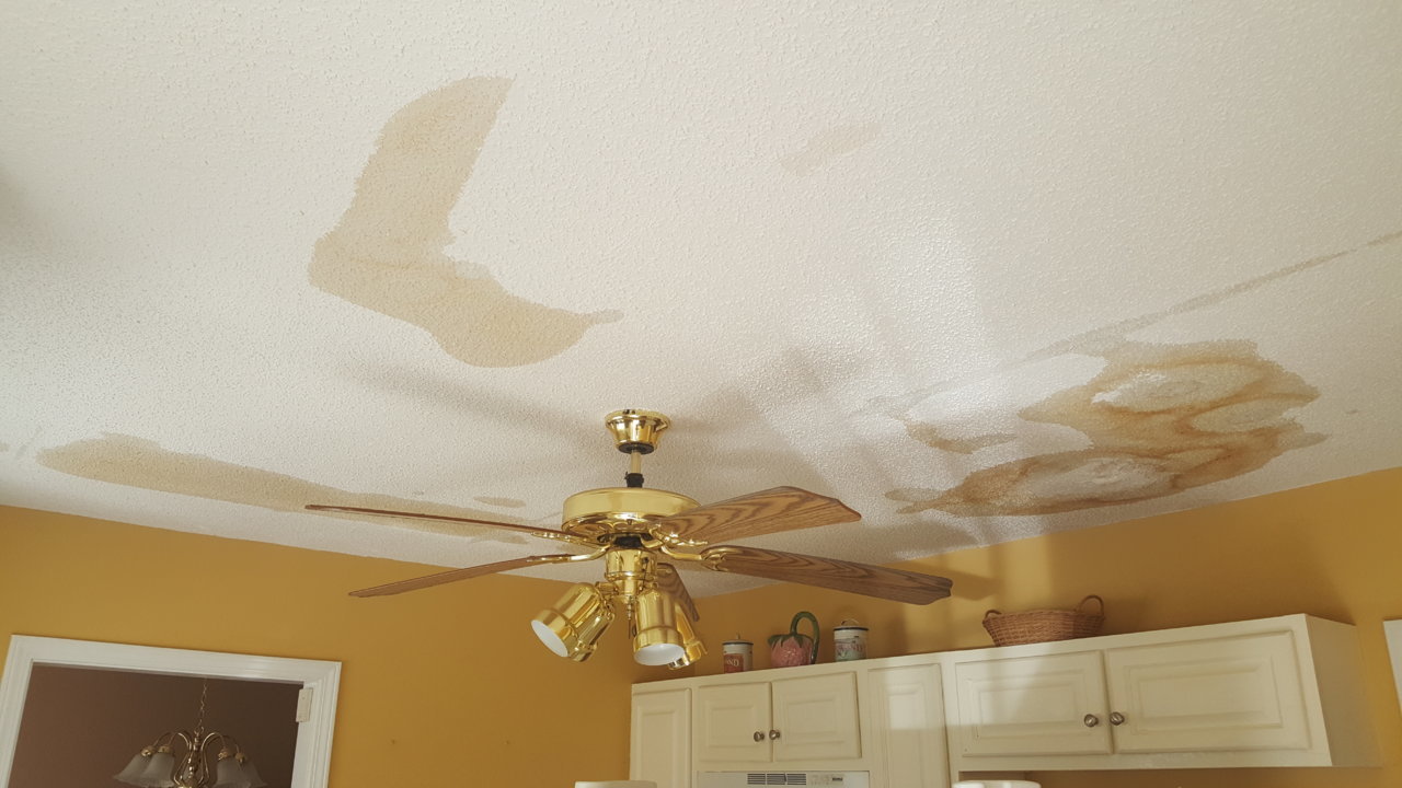 20190722_110112.jpg