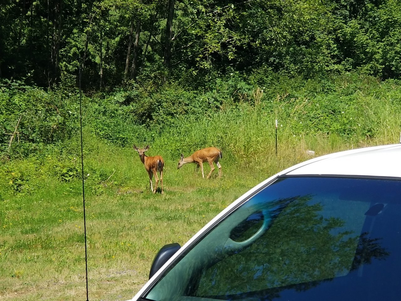 20190722_121528.jpg