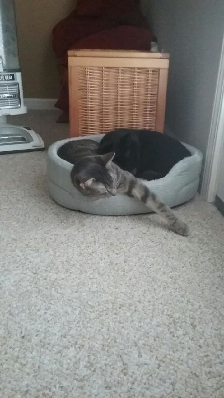 20190722_174845.jpg