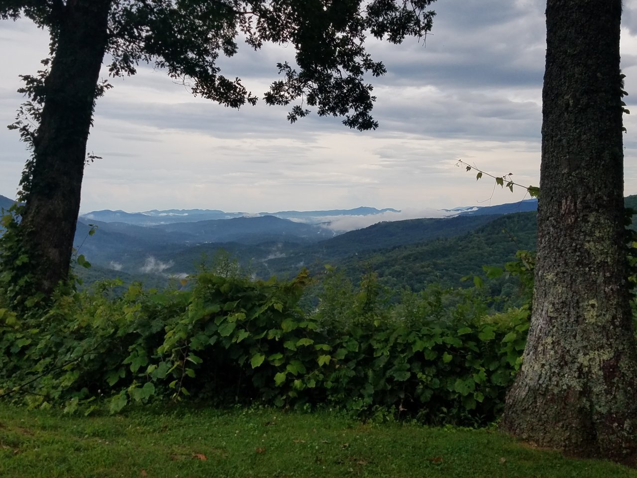 20190722_180719.jpg