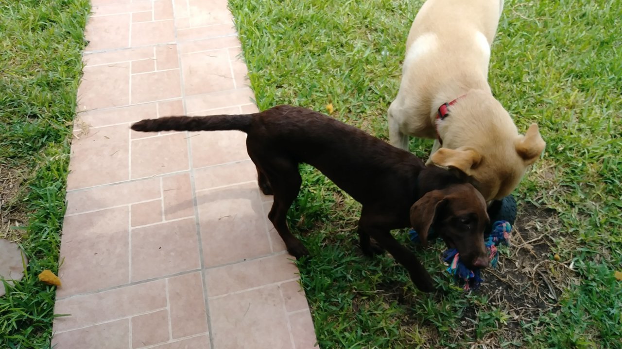 20190723_130212.jpg
