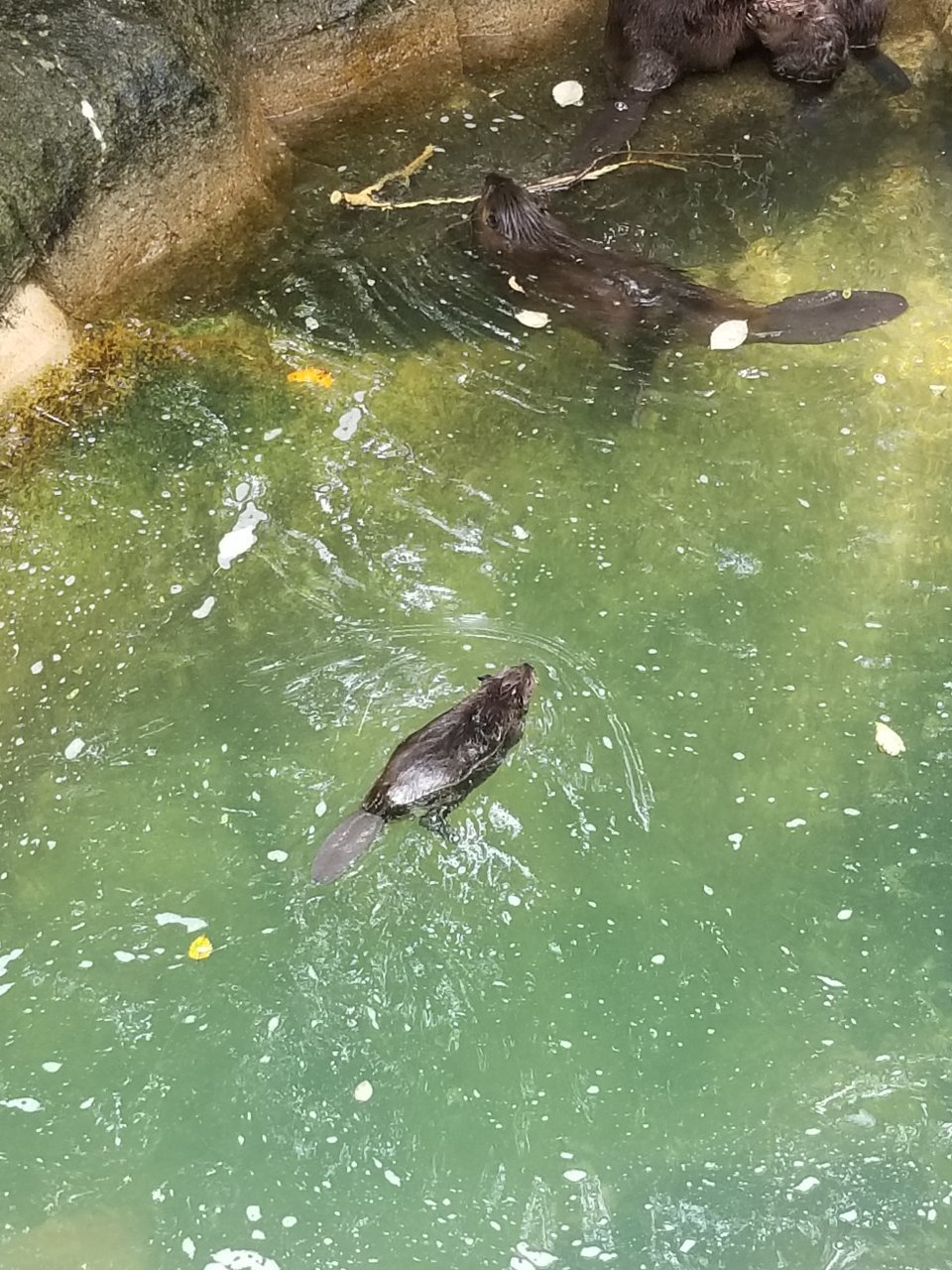 20190723_133921.jpg