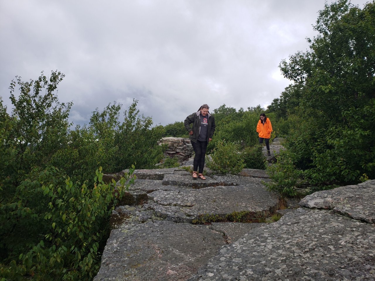 20190723_153245.jpg