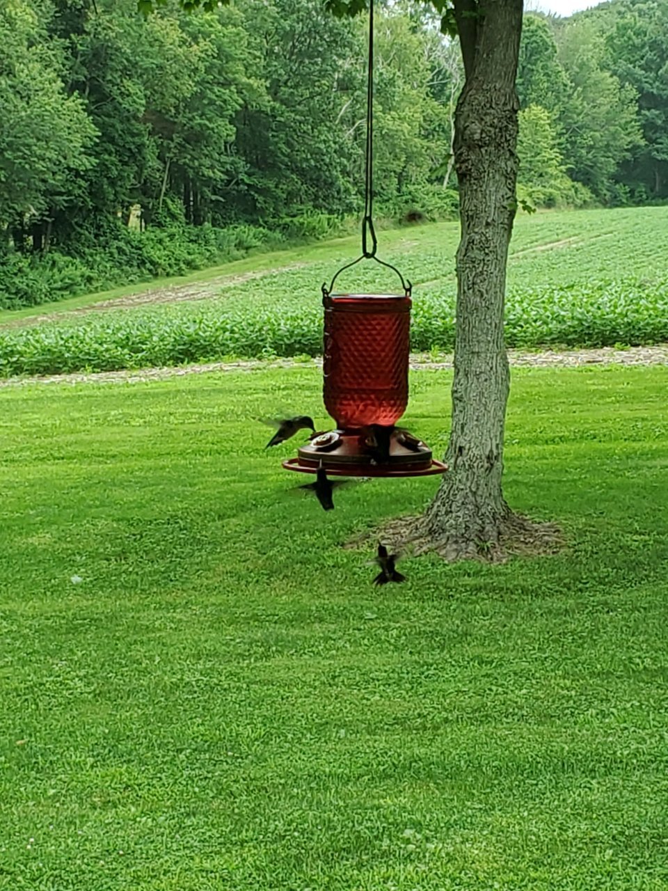 20190723_161315.jpg