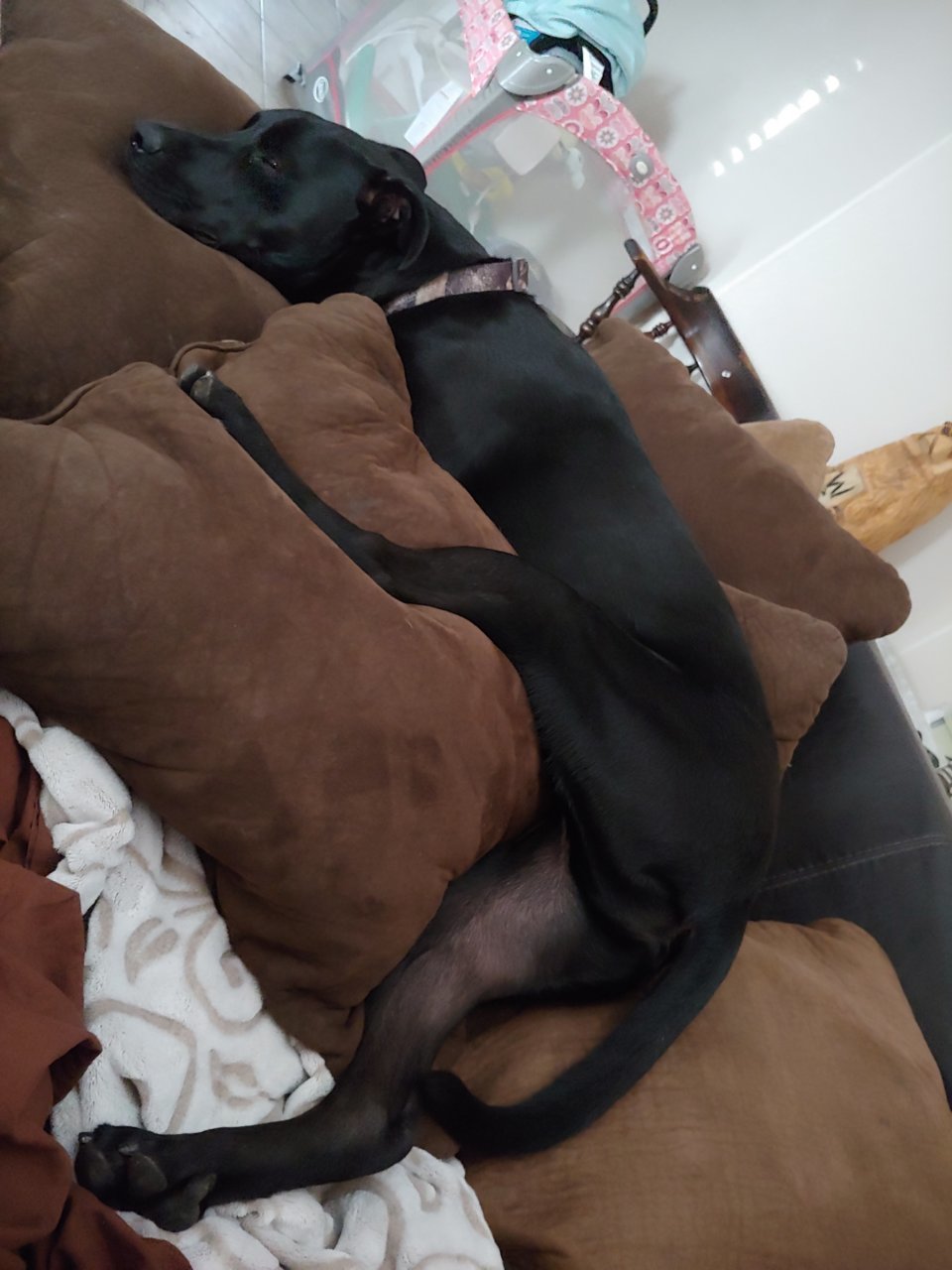 20190723_183035.jpg