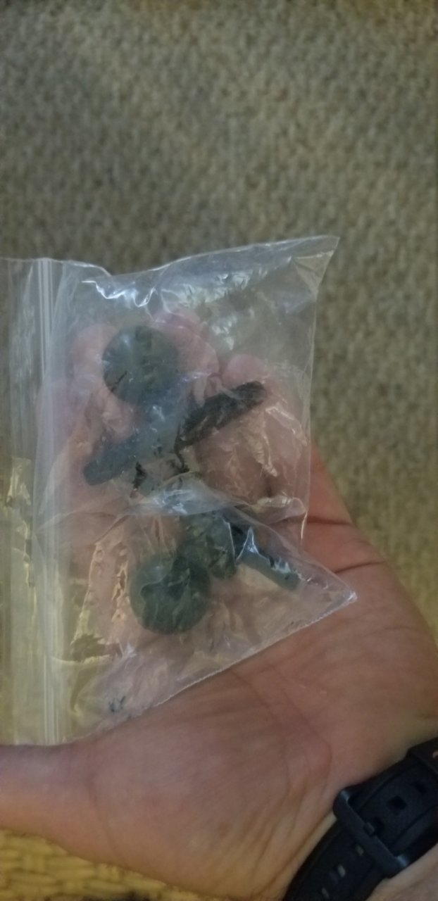 20190723_185248.jpg