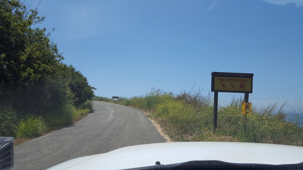 20190724_121204.jpg