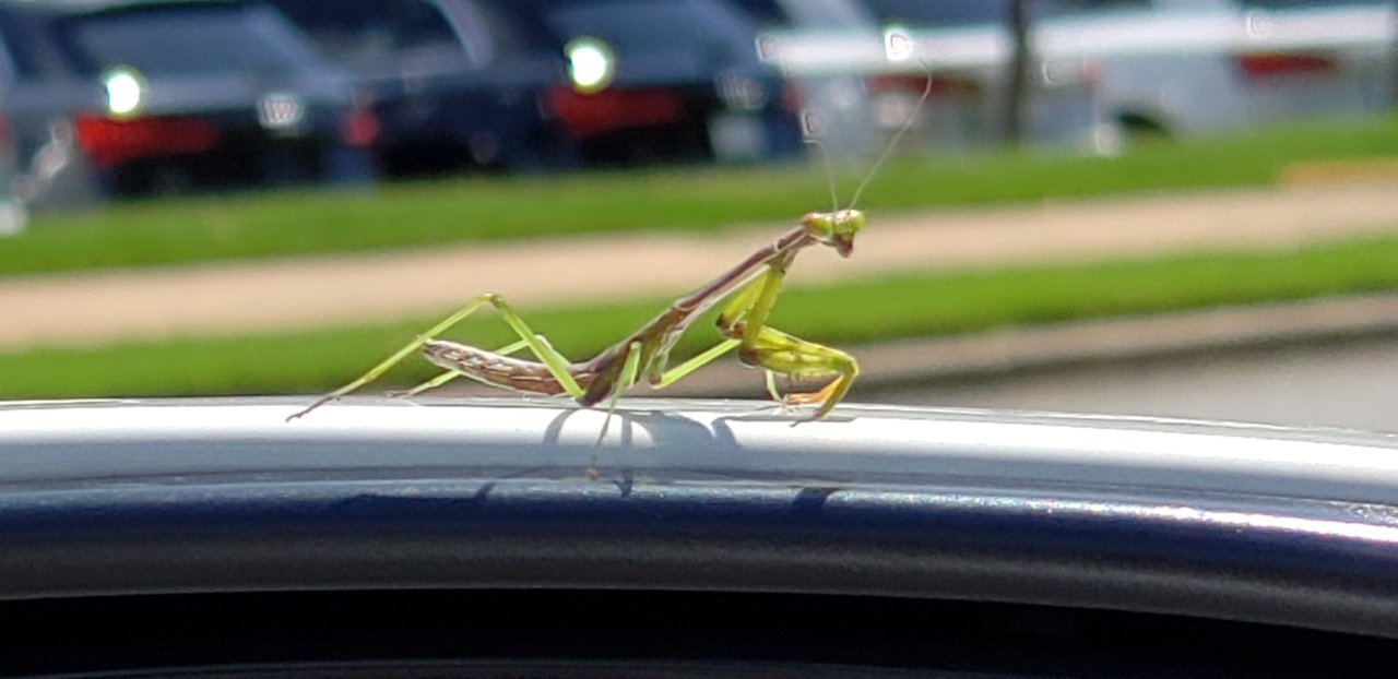 20190724_145641.jpg
