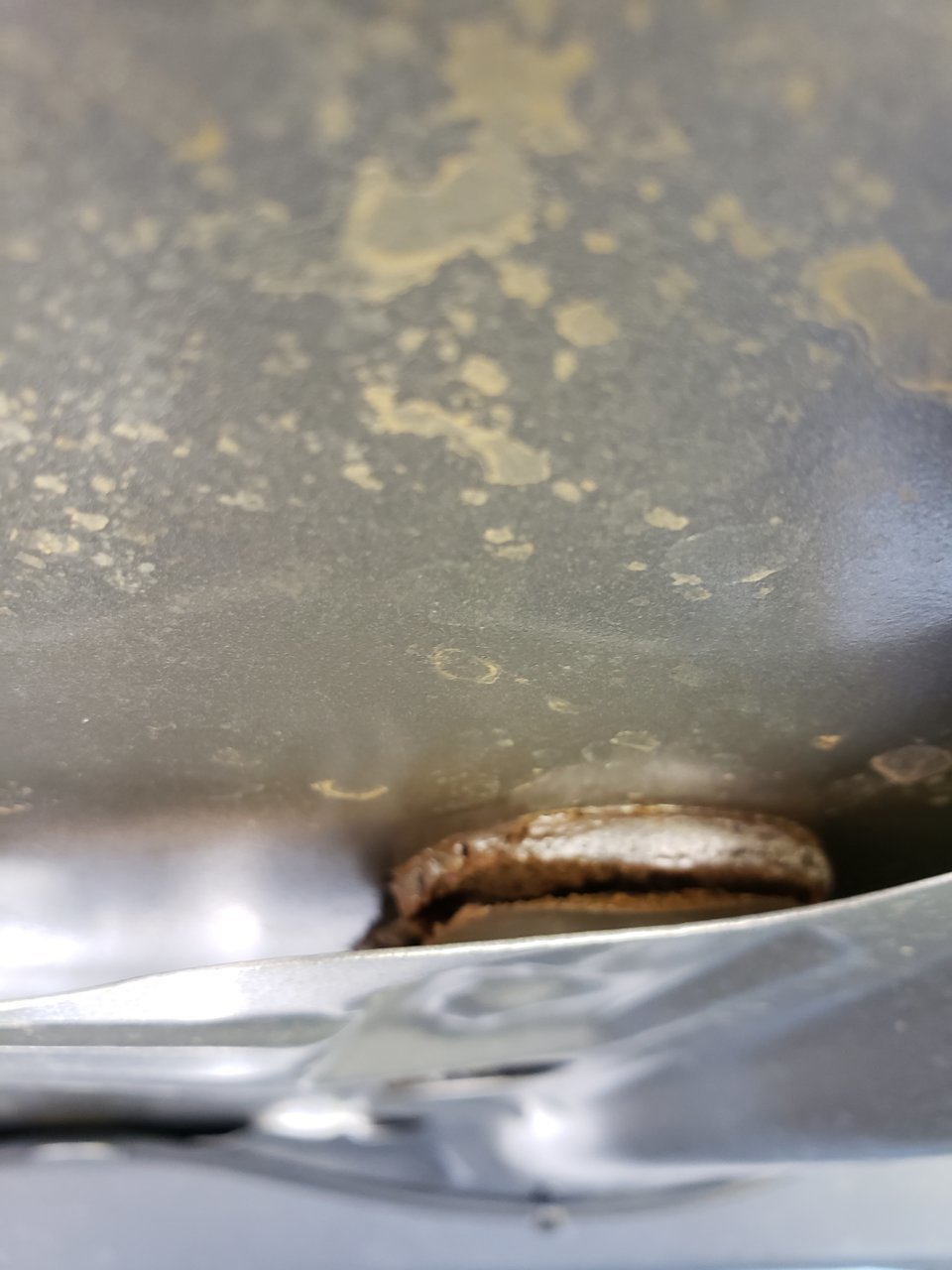 20190724_151752.jpg