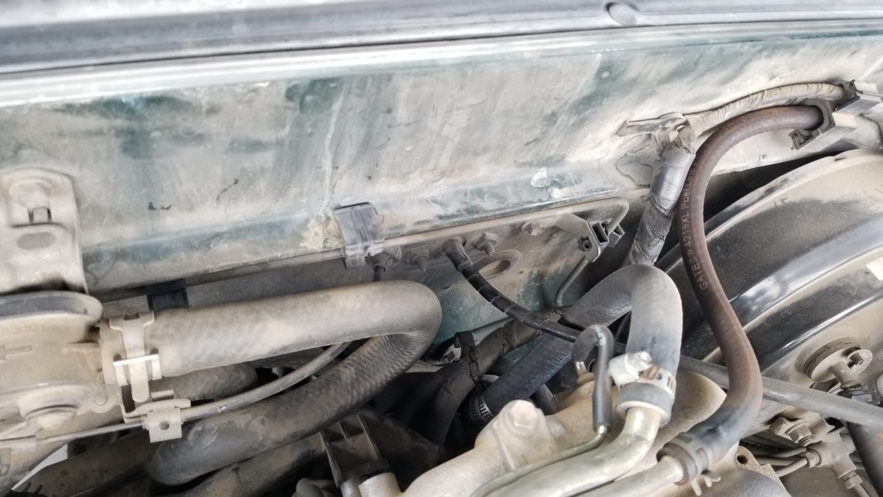 20190724_160642.jpg