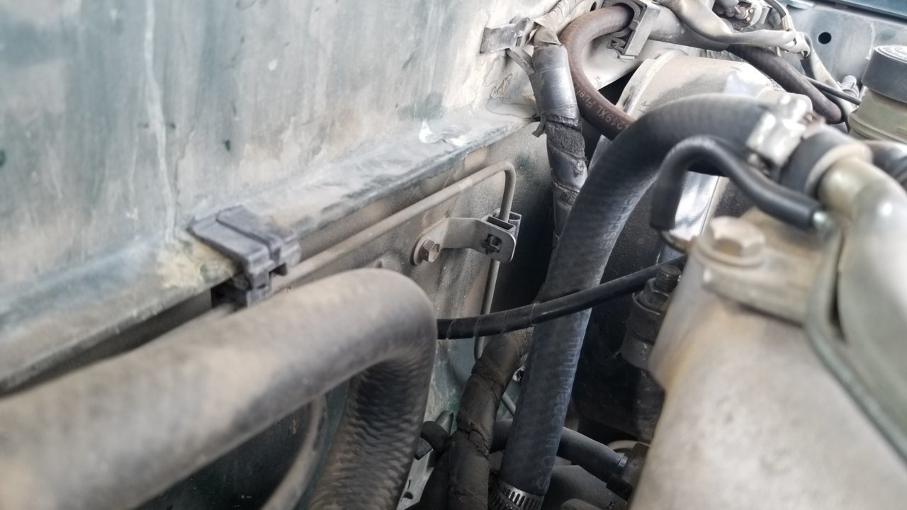 20190724_160703.jpg