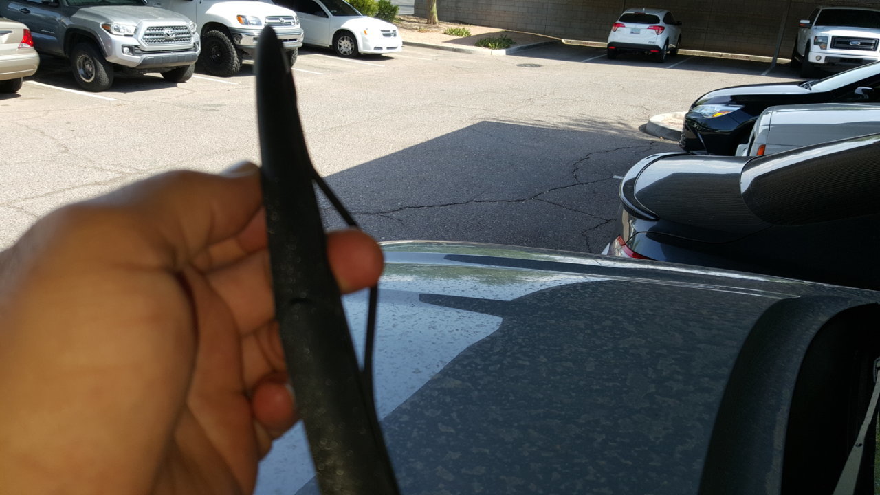 20190725_153914.jpg