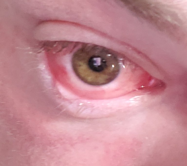 20190725_175647.jpg