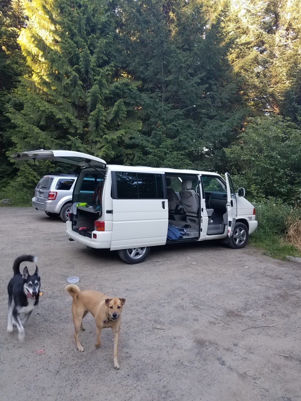 20190725_191622.jpg