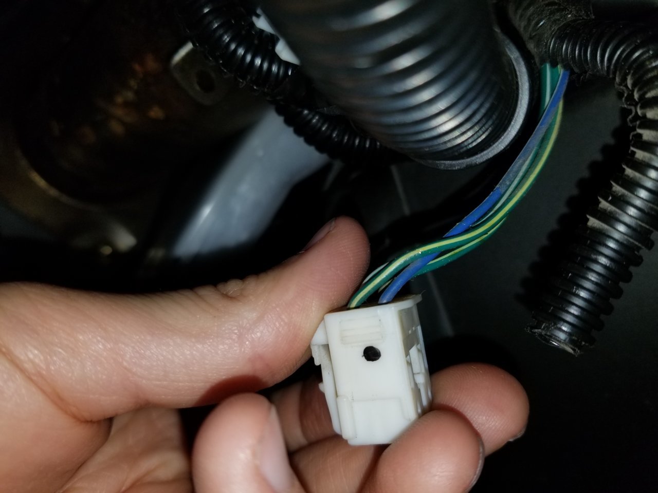 20190725_194350_48902781881_o.jpg