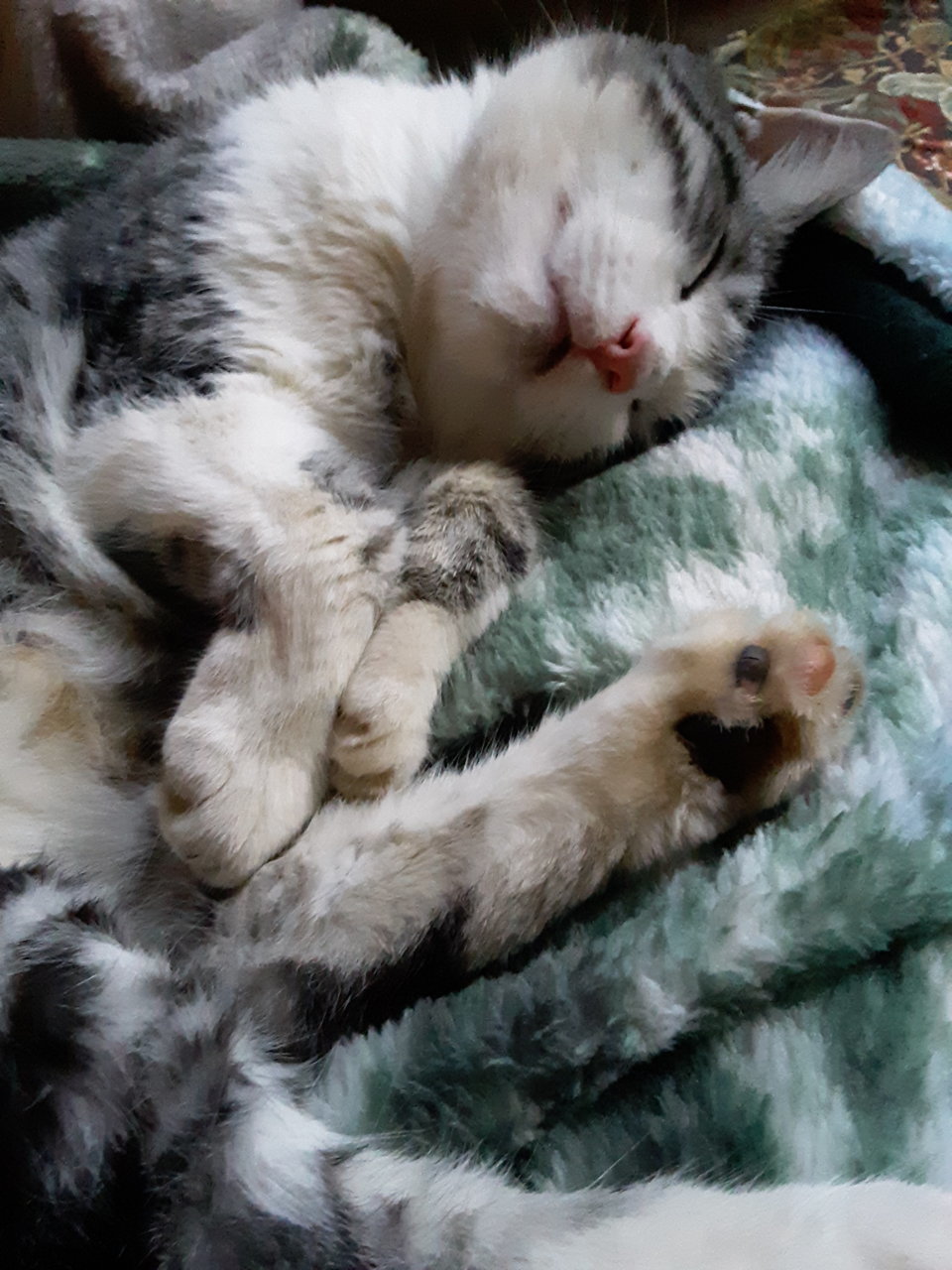 20190725_200753.jpg
