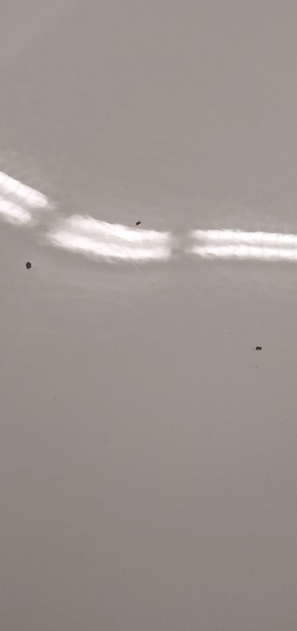 20190725_215850.jpg