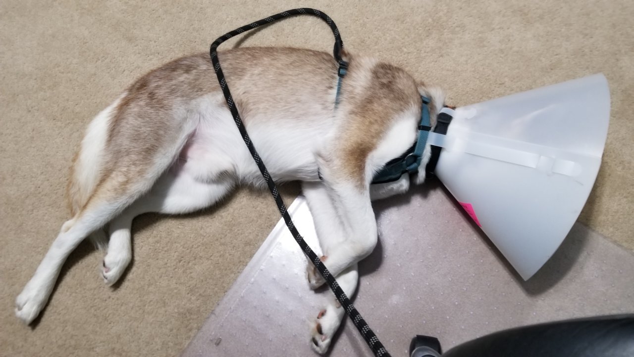 20190726_090211.jpg