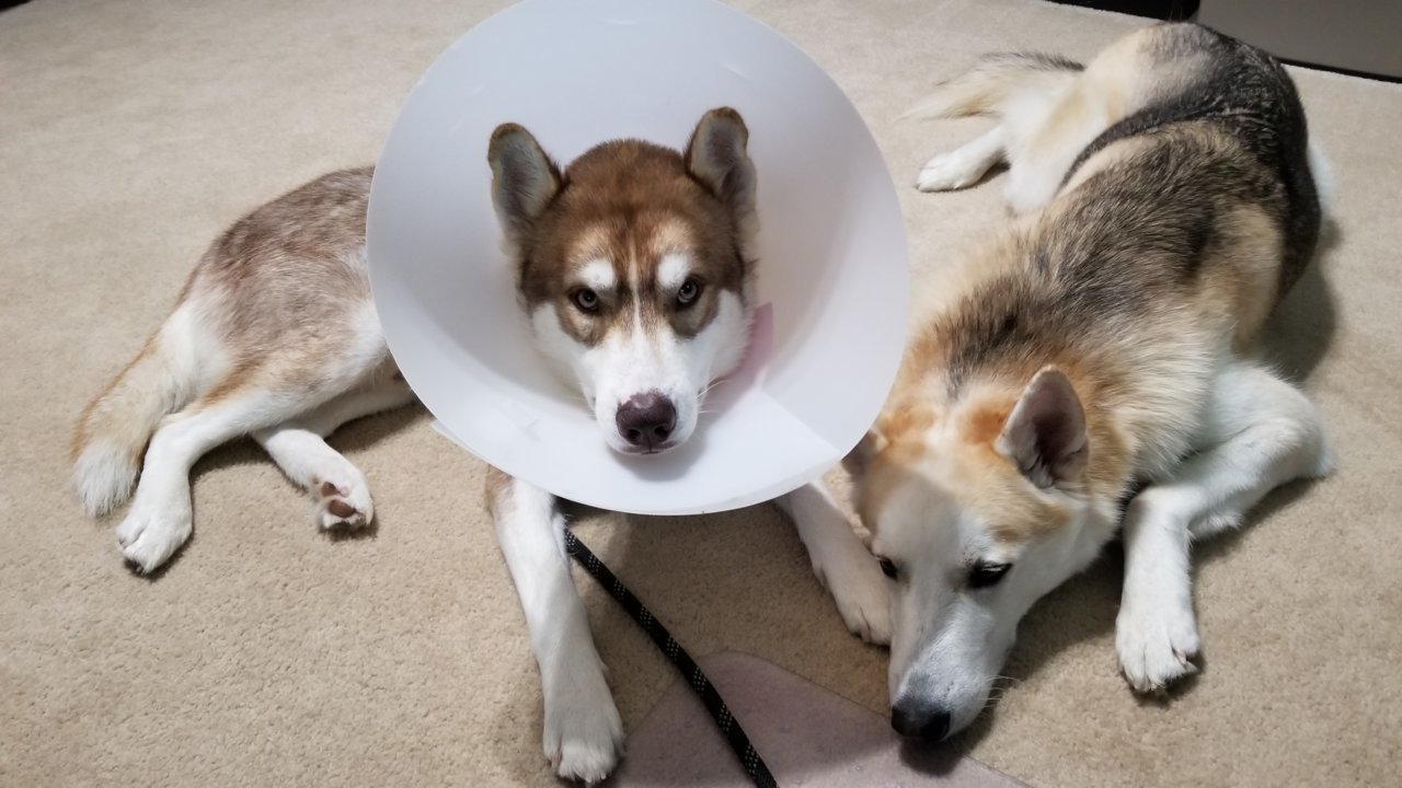 20190726_090337.jpg