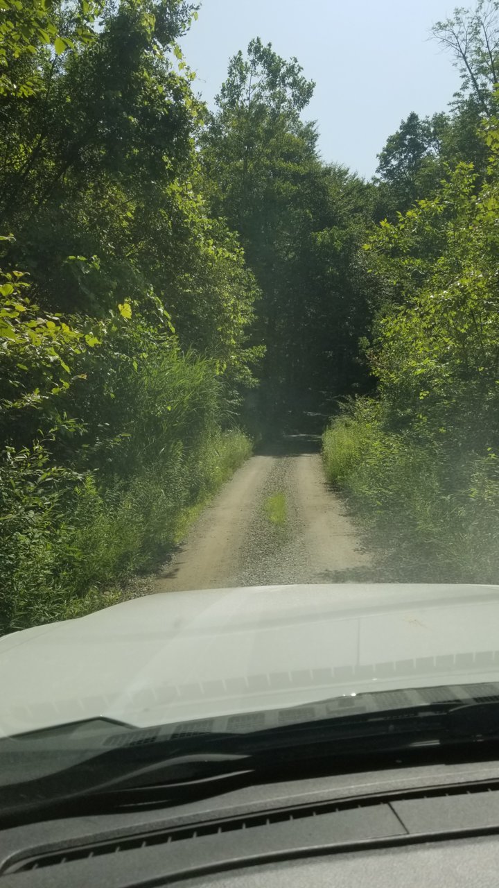 20190726_102758.jpg