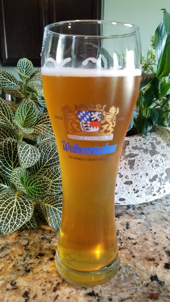 20190726_104713.jpg