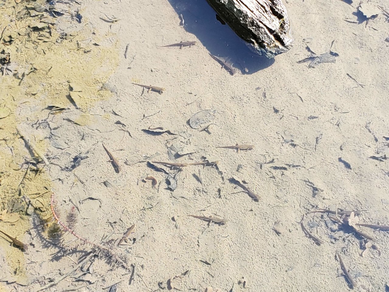 20190726_104726.jpg