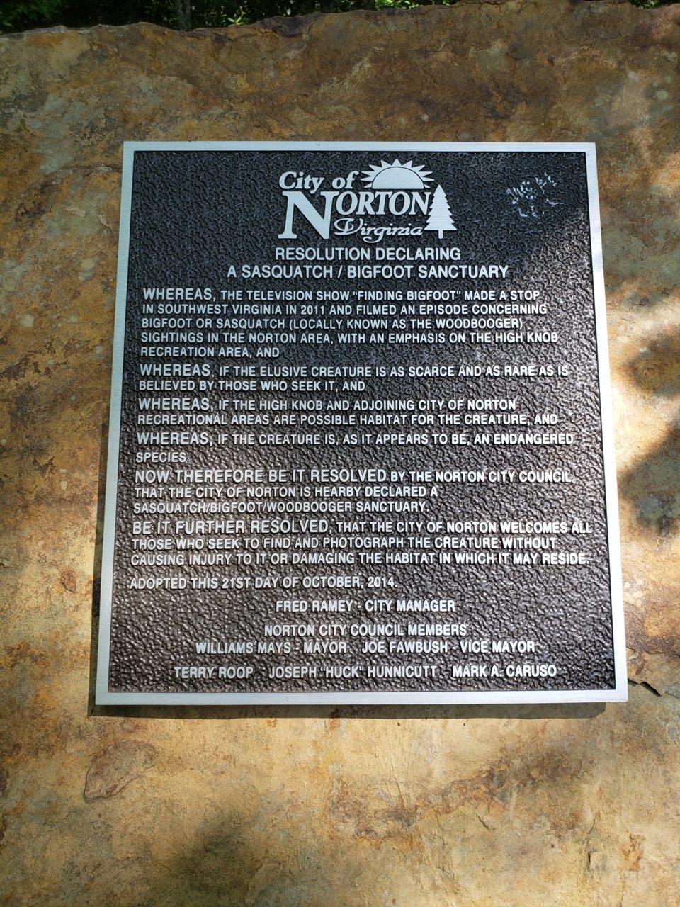 20190726_114834.jpg