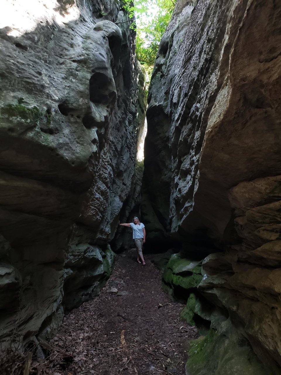 20190726_120413.jpg