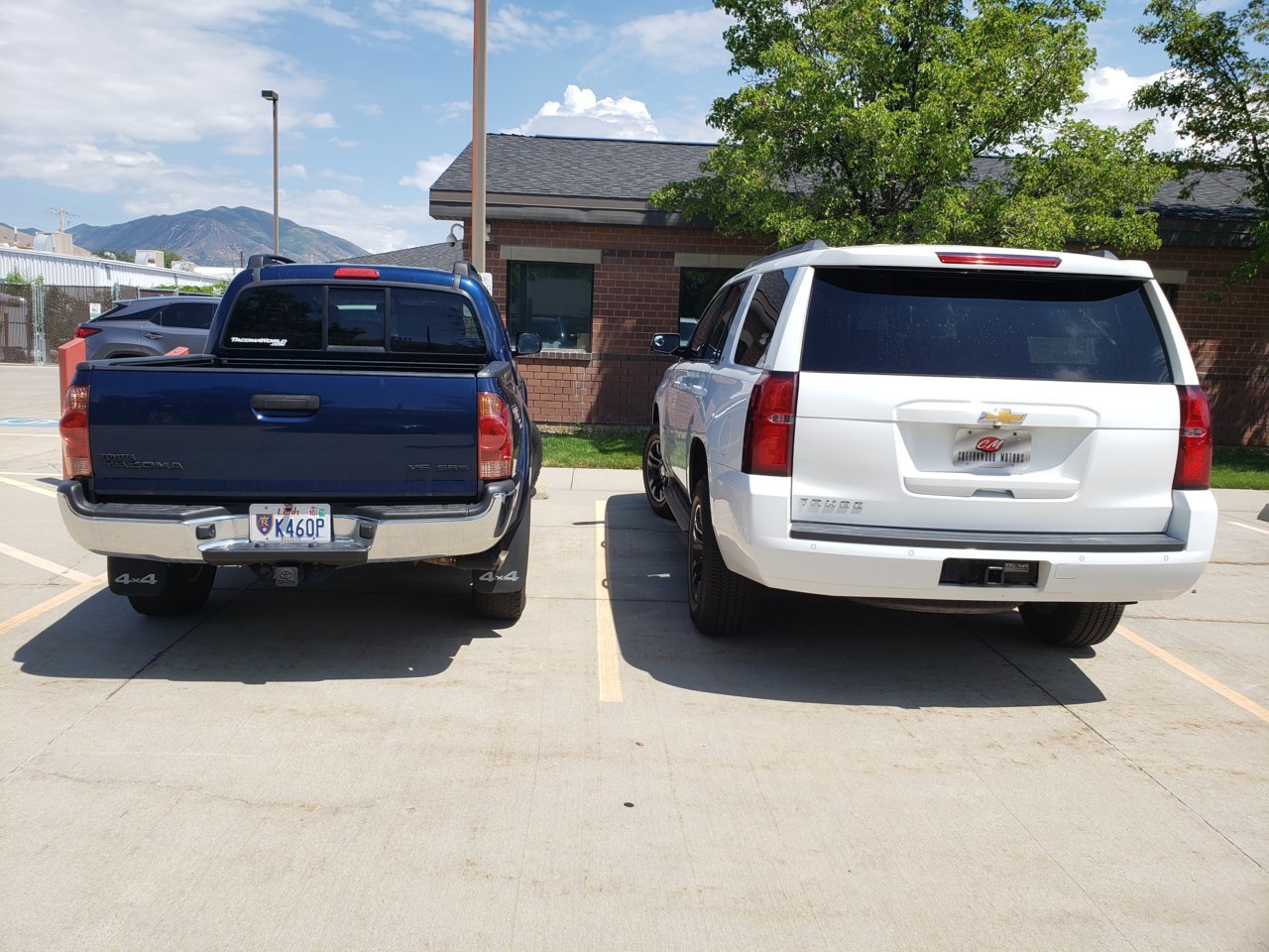 20190726_144258.jpg