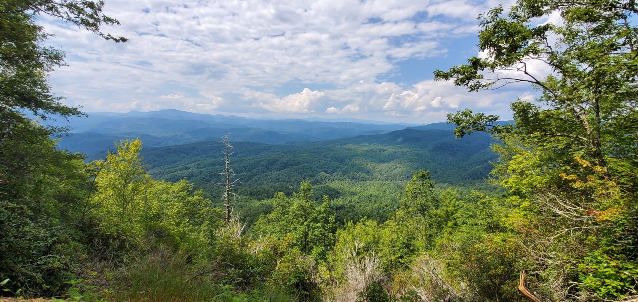 20190726_154132.jpg