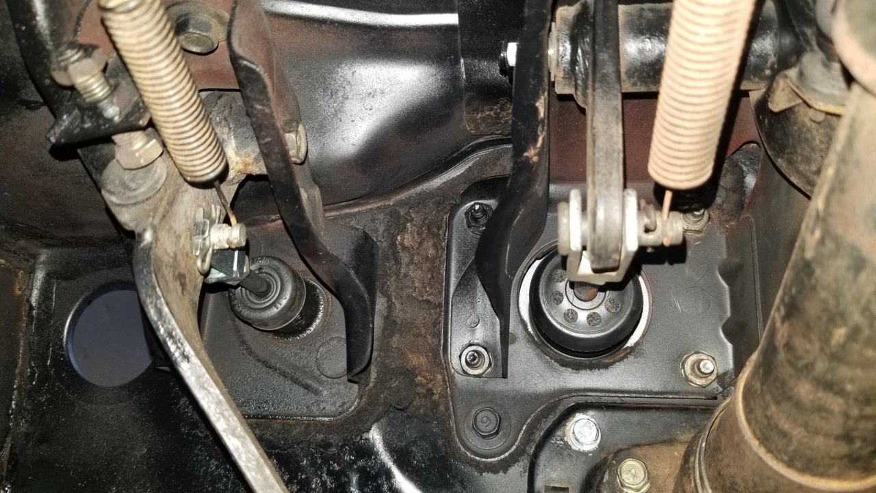 20190726_155421.jpg