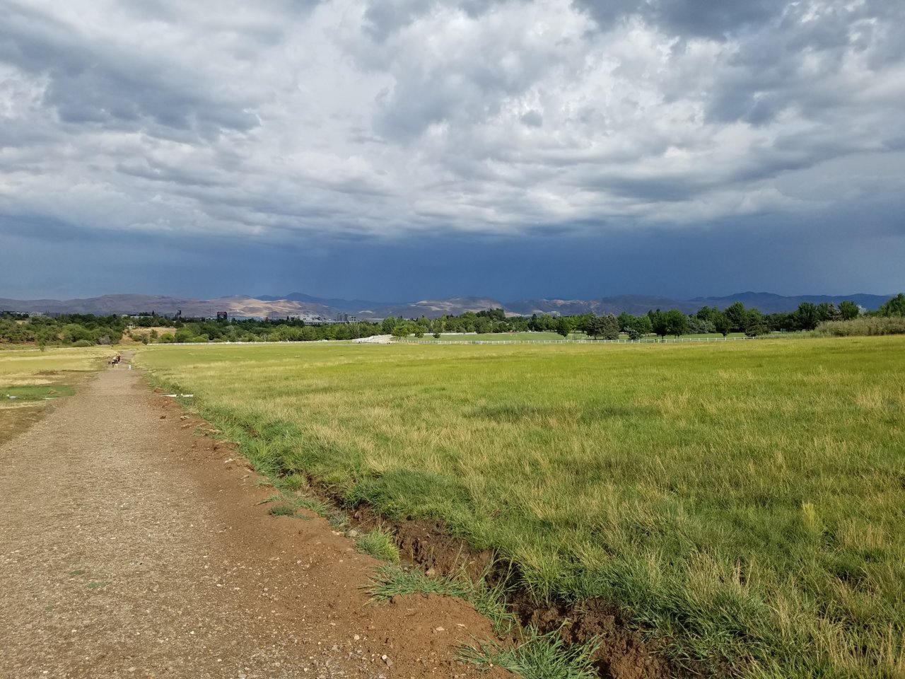20190726_170137.jpg