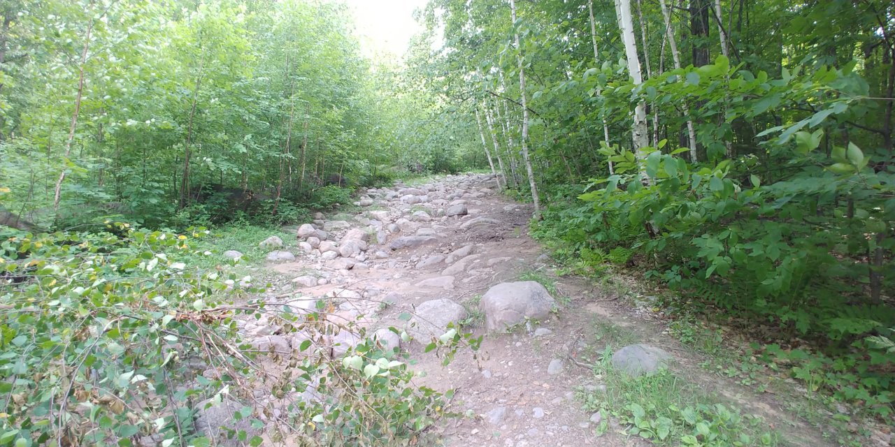 20190726_170340.jpg