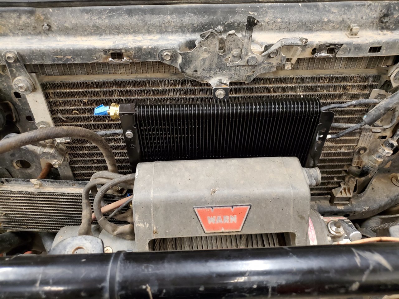 20190726_172149.jpg