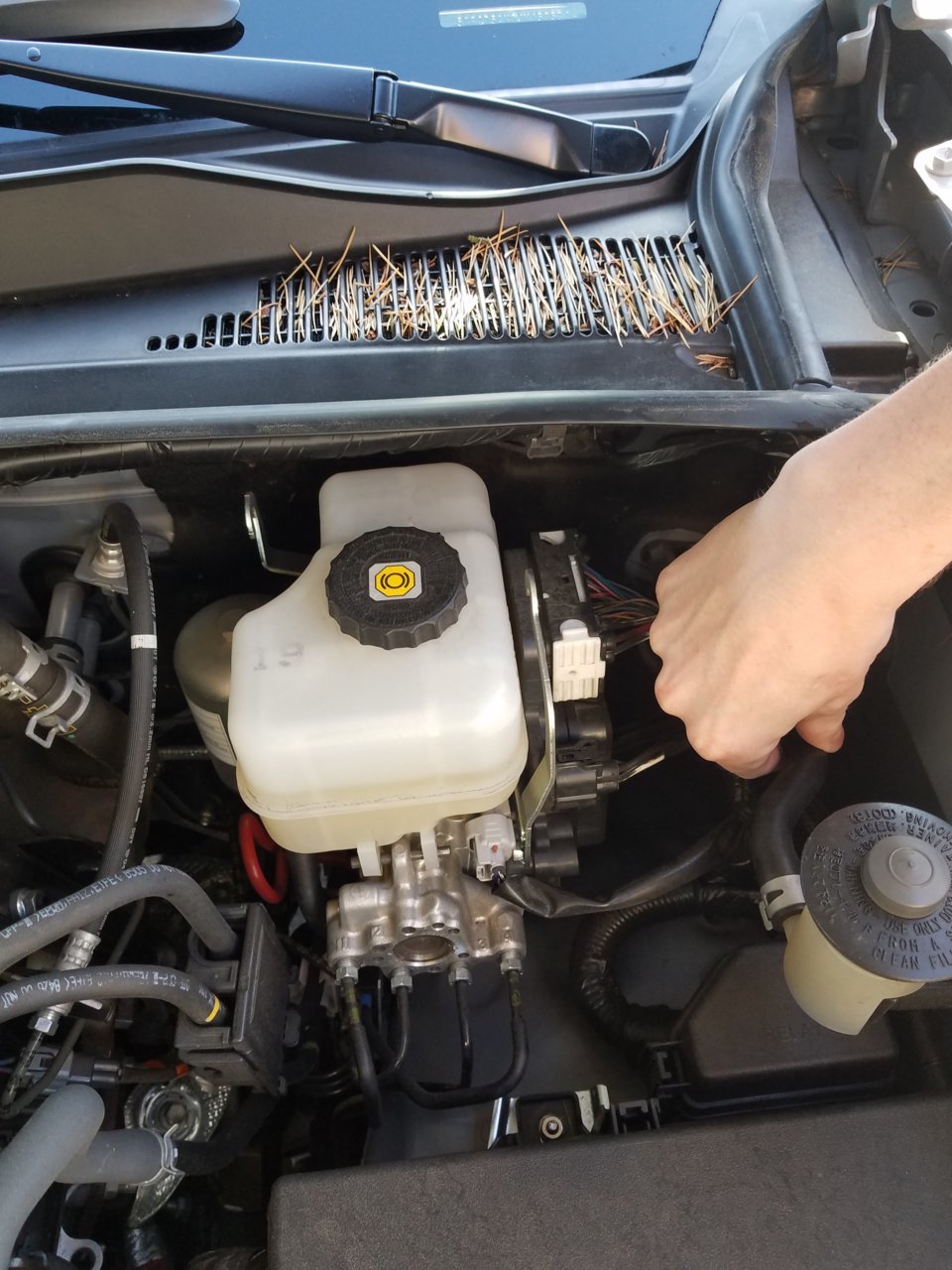 20190726_184717.jpg