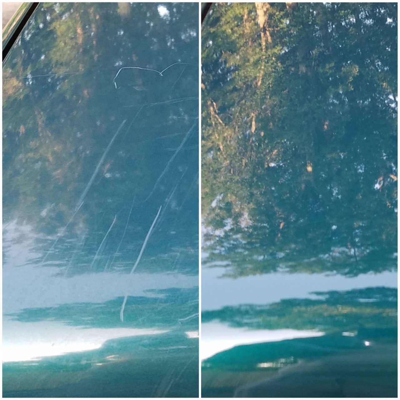 20190726_185129.jpg
