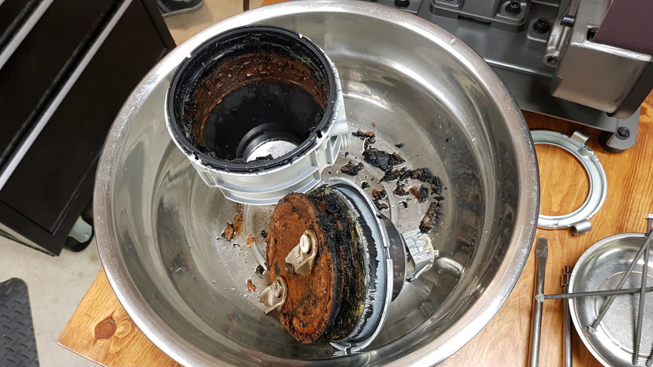 20190726_200901.jpg