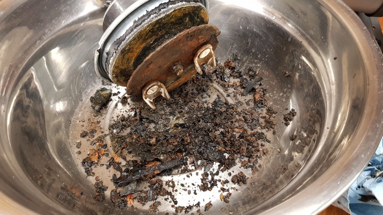 20190726_202003.jpg