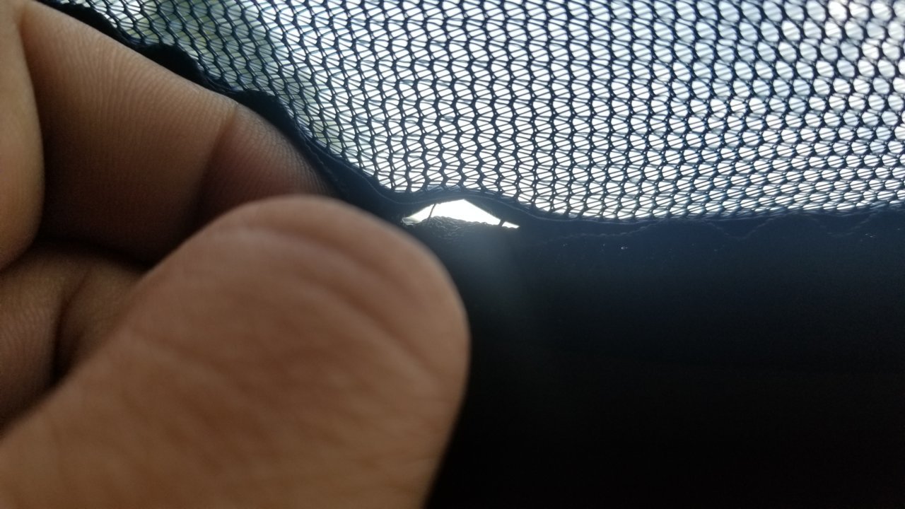 20190727_074359.jpg
