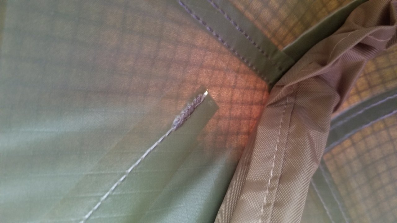 20190727_074500.jpg