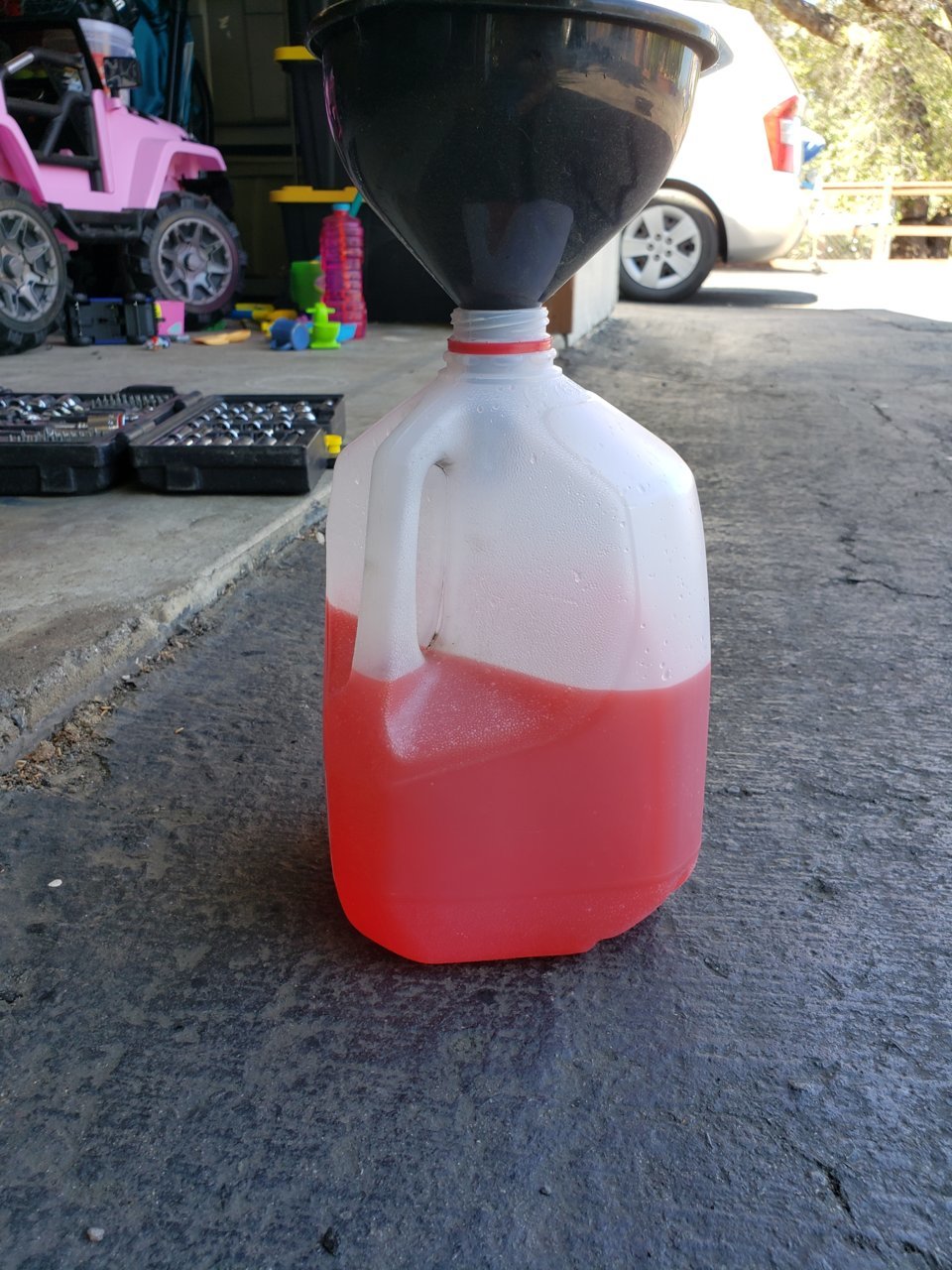 20190727_111455.jpg