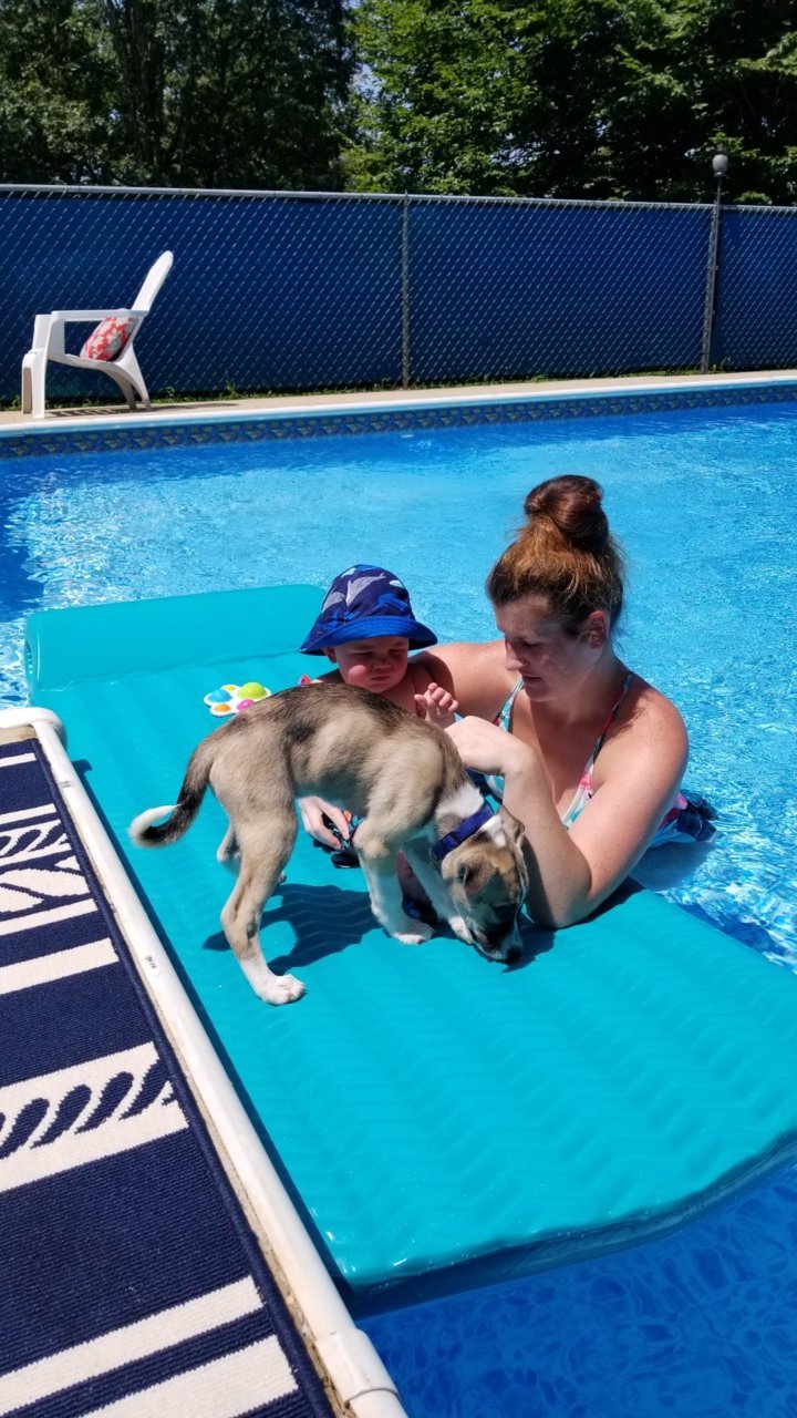 20190727_121715.jpg