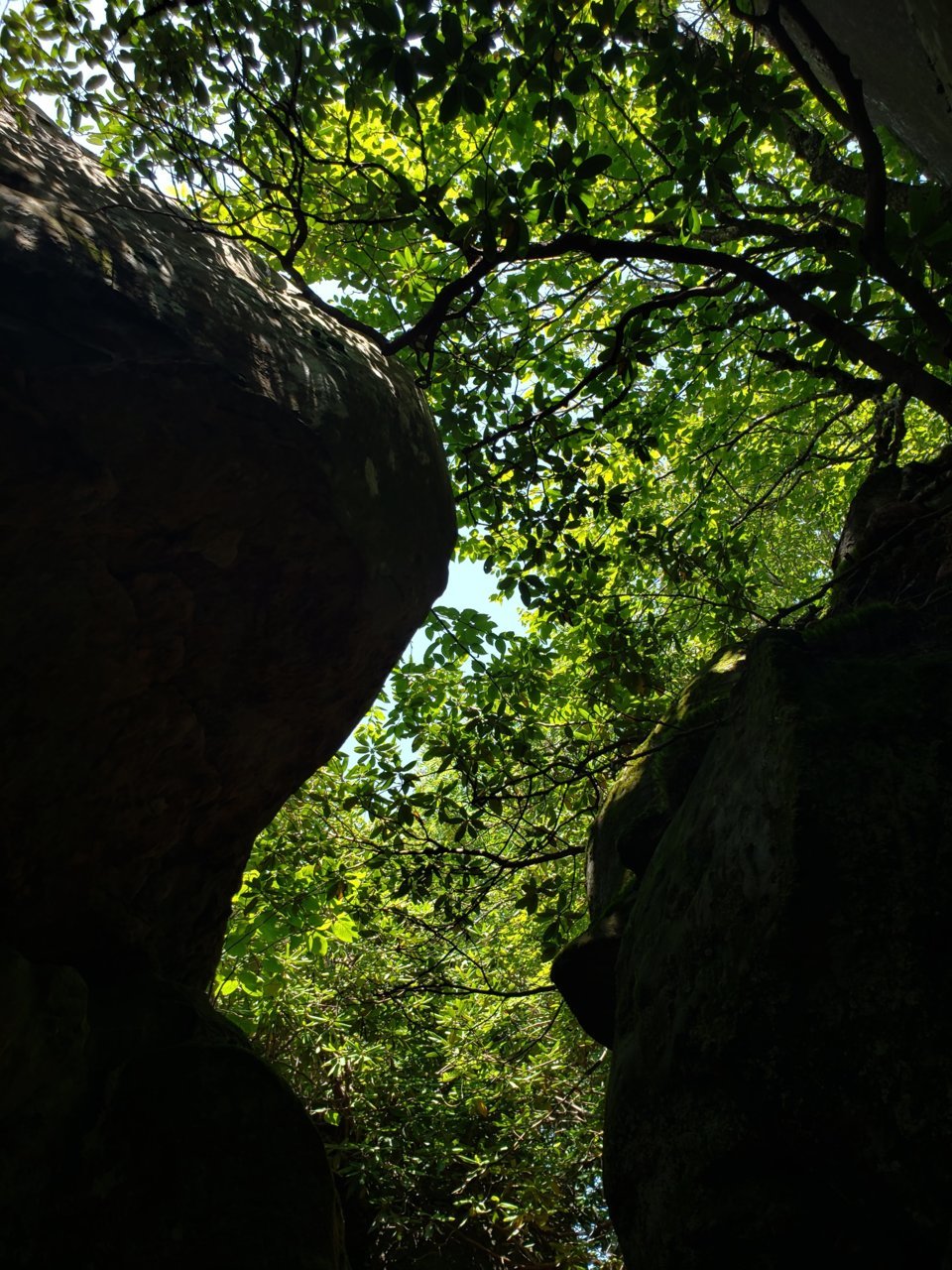 20190727_131830.jpg