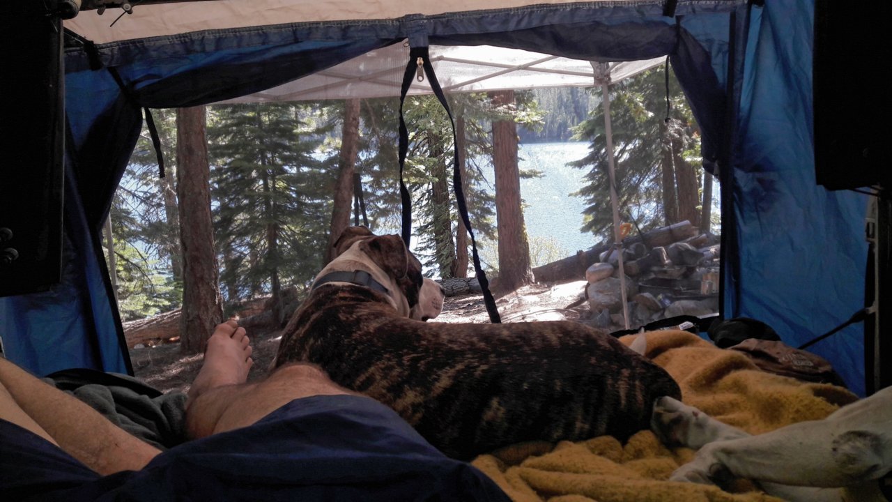 20190727_141836.jpg