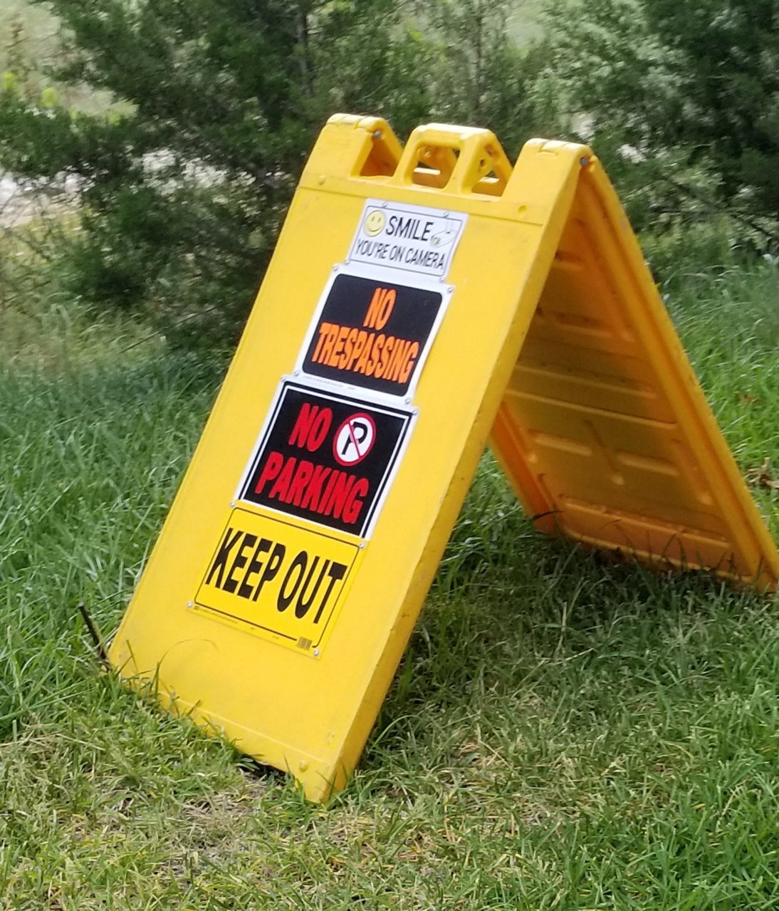 20190727_155048.jpg