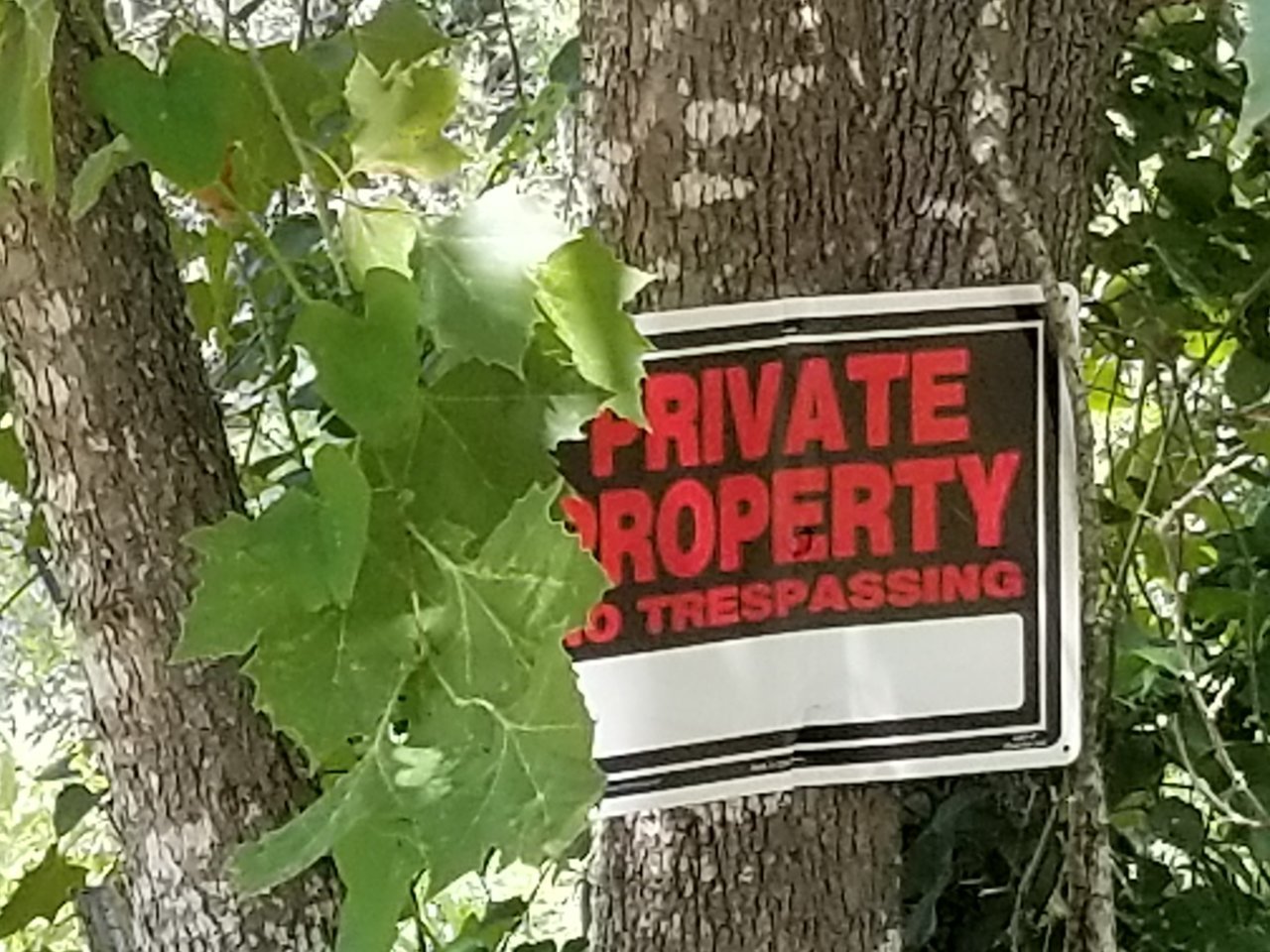 20190727_155803.jpg