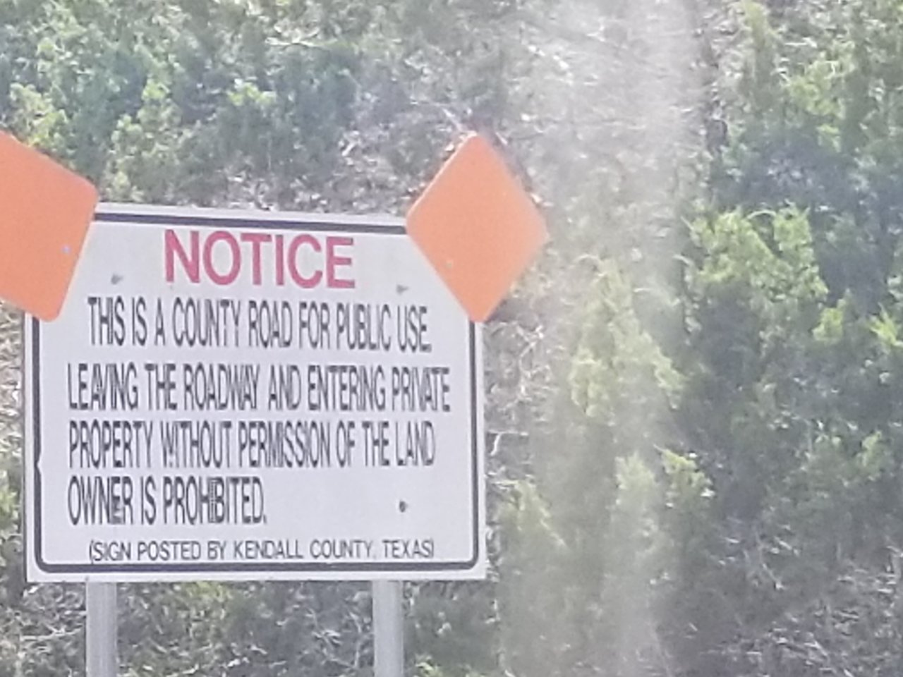 20190727_160857.jpg