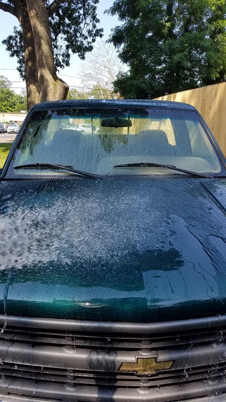 20190728_104447.jpg