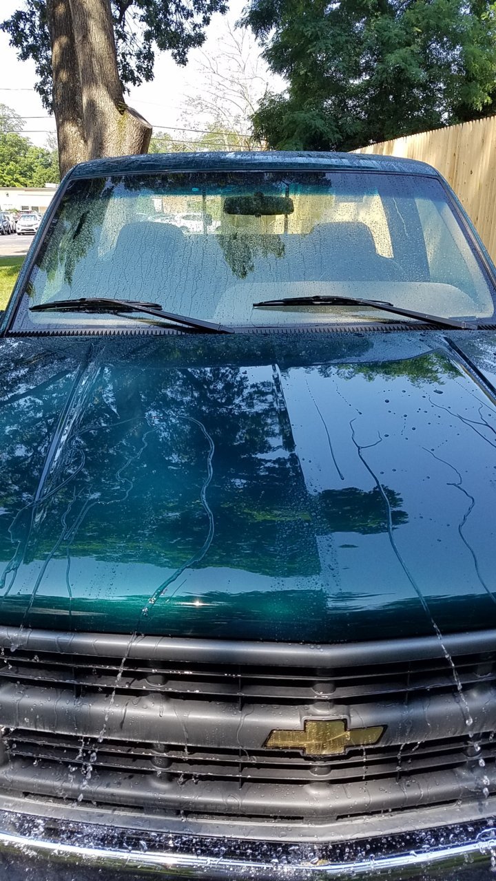 20190728_104452.jpg